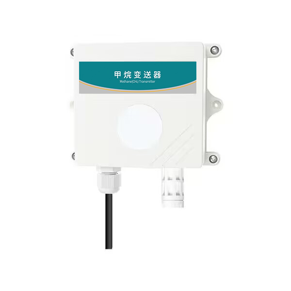 485 Type Methane Temperature And Humidity Transmitter CH4-N01-2-100LEL-2-VL