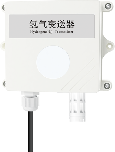 485 Type Hydrogen Temperature And Humidity Transmitter H2-N01-2-1000P-2-VL